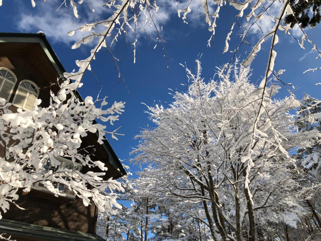 Pension Razteca Hakuba Extérieur photo